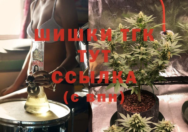 соль ск Богородск
