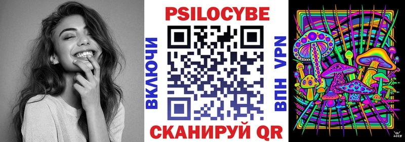 Псилоцибиновые грибы Psilocybe  Кинешма 